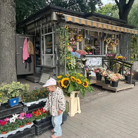 Apartment A Stylish Gem By The Sea